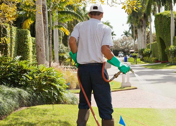 About Old Bethpage NY Pest Control